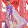 Banarasi Patola Saree