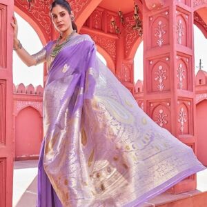 Banarasi Patola Saree