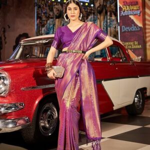 Banarasi Patola Saree